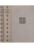 Török Sándor - Örök vasárnapok I-II. kötet