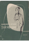 Harsányi István - Fiúk könyve