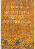 Dr. Péter Ágnes - Neurológia - Neuropszichológia