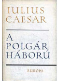 Ürögdi György - A polgár háború