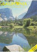Ted Smart,David Gibbon - Picture Book to Remember Her By: San Diego