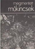 Nagy Katalin - Megmentett műkincsek