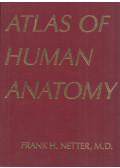 Frank H. Netter - Atlas of Human Anatomy