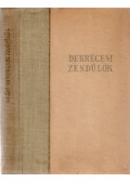 Oláh Gábor - Debreceni zendülők