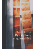 Szászi Zoltán - Egy műhely megismerése