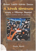 Mirtse Zsuzsa - A kövek története