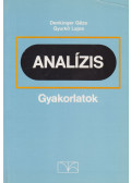Denkinger Géza,Gyurkó Lajos - Analízis gyakorlatok