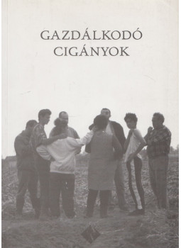 Havas Gábor - Gazdálkodó cigányok Havas Gábor - Gazdálkodó cigányok, Budapest 2001 antikvár könyv