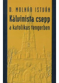 D. Molnár István - Kálvinista csepp a katolikus tengerben