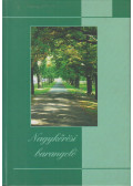 Erdélyi Erzsébet,Szabó Attila - Nagykőrösi barangoló