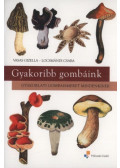 Locsmándi Csaba, Vasas Gizella - Gyakoribb gombáink