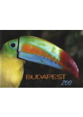 Hanga Zoltán - Budapest Zoo