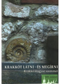Petneki Áron - Krakkót látni - és megírni