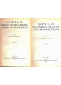 Szinnyei Ferenc - Novella- és regényirodalmunk a szabadságharcig