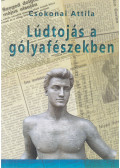 Csokonai Attila - Lúdtojás a gólyafészekben