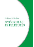 Dr. David R. Hawkins - Gyógyulás és felépülés