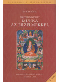 Láma Csöpel - Megvilágosult munka az érzelmekkel