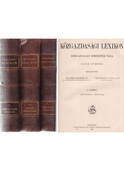 Halász Sándor, Mandelló Gyula - Közgazdasági lexikon I-III. Halász Sándor, Mandelló Gyula - Közgazdasági lexikon I-III., Budapest 1898 antikvár könyv