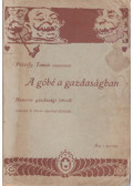Péterfy Tamás - A góbé a gazdaságban