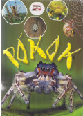 Krajnik Bíró Sára - Pókok