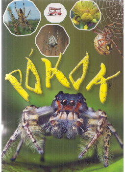 Krajnik Bíró Sára - Pókok Krajnik Bíró Sára - Pókok, Nyíregyháza 0 antikvár könyv