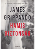James Grippando - Hamis biztonság