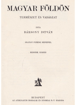 Bársony István - Magyar földön