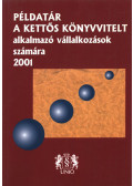 Pásztói István - Példatár a kettős könyvvitelt alkalmazó vállalkozások számára 2001