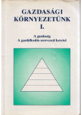 Kissné Kovács Katalin,Lázár Piroska,Dr. Páliné Kincses Márta - Gazdasági környezetünk I.