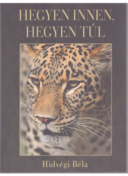 Hidvégi Béla - Hegyen innen, hegyen túl (dedikált) Hidvégi Béla - Hegyen innen, hegyen túl (dedikált), null 2014 antikvár könyv