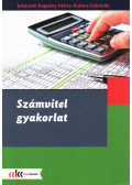 JUHÁSZNÉ KOPPÁNY MÁRTA , KATONA GABRIELLA - Számvitel gyakorlat