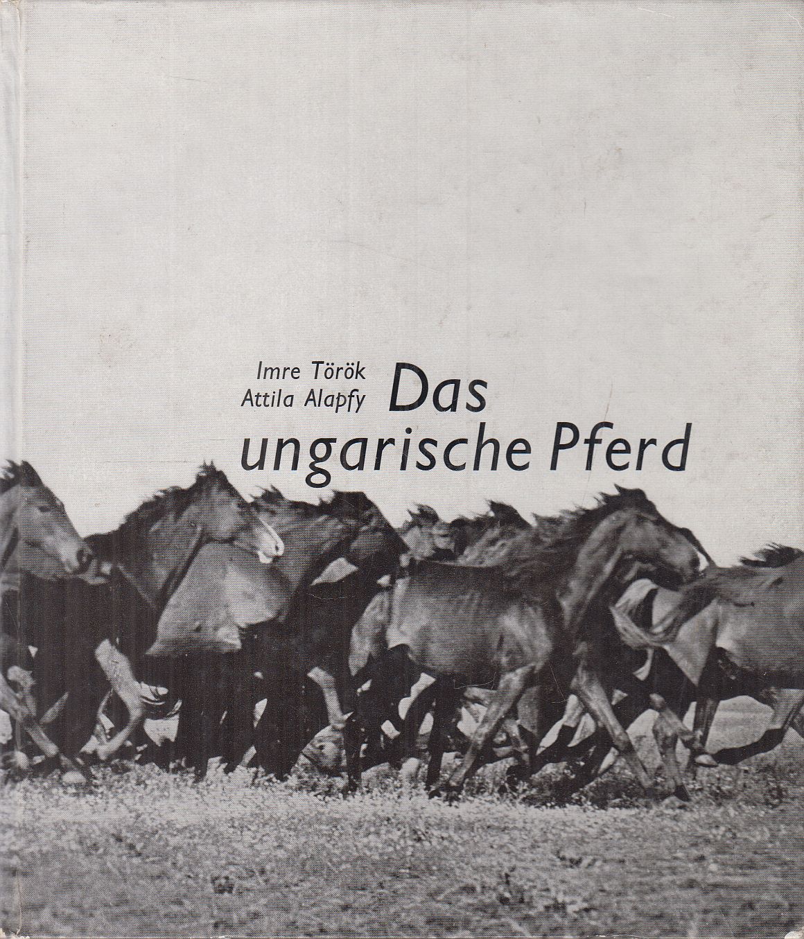 Török Imre, Alapfy Attila - Das ungarische Pferd Török Imre, Alapfy Attila - Das ungarische Pferd, Budapest 1972 antikvár könyv