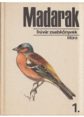 Keve András - Madarak 1.