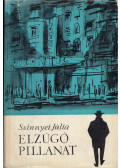 Szinnyei Júlia - Elzúgó pillanat