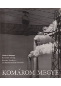 Kiss István - Komárom megye