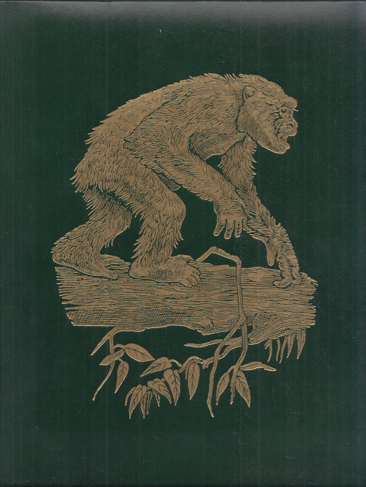 Jane Goodall,Michael Nichols,George B. Schaller,Mary G. Smith - The Great Apes: Between two worlds