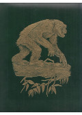 Jane Goodall,Michael Nichols,George B. Schaller,Mary G. Smith - The Great Apes: Between two worlds