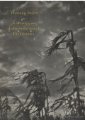 Hevesy Iván - A magyar fotoművészet története