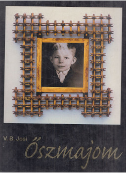 V. B. Josi, Varga-Bencsik József - Őszmajom V. B. Josi, Varga-Bencsik József - Őszmajom, Tatabánya 2016 antikvár könyv