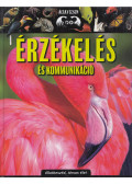 Bagoly Ilona - Érzékelés és kommunikáció