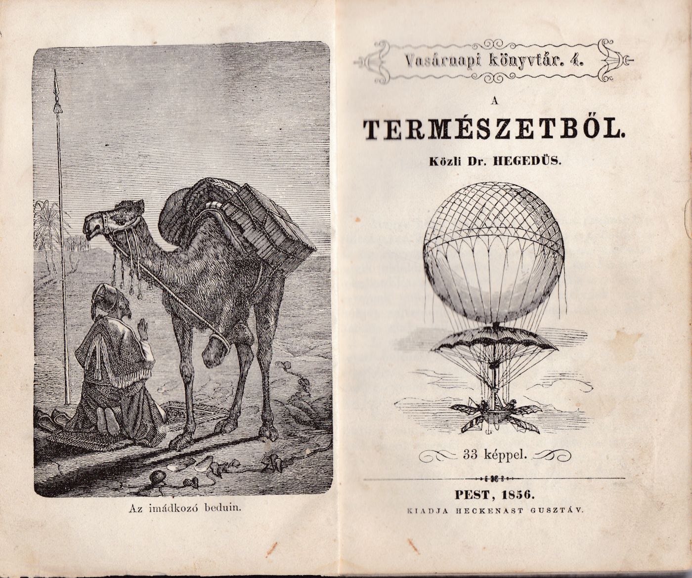 Hegedűs László - A természetből Hegedűs László - A természetből, null 0 antikvár könyv