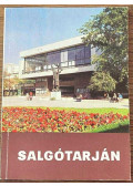 Belitzky János,Vadas Andor - Salgótarján