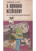 Ambrus Lajos - A korondi nézőedény