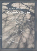 Bakonyi István - Galamb a járdán