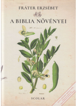 Fráter Erzsébet - A Biblia növényei Fráter Erzsébet - A Biblia növényei, Budapest 2023 antikvár könyv