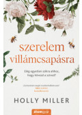 Holly Miller - Szerelem villámcsapásra