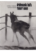 Hemző Károly - Dröhnende Hufe / Topot konja