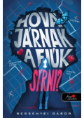 Bessenyei Gábor - Hová járnak a fiúk sírni?