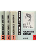 Szentágothai János - Functionalis anatomia I-III.