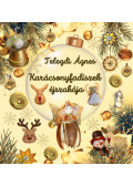 Telegdi Ágnes - Karácsonyfadíszek éjszakája